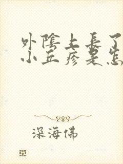 外阴上长了好多小丘疹是怎么回事