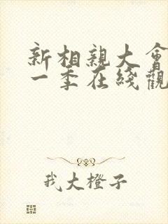 新相亲大会 第一季在线观看