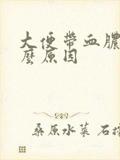 大便带血脓是什么原因