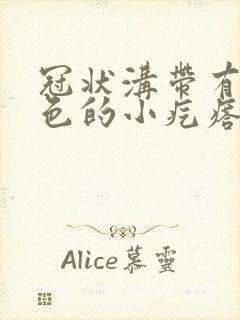 冠状沟带有小白色的小疙瘩