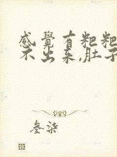 感觉有粑粑还拉不出来,肚子疼