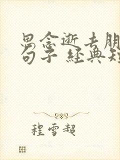 思念逝去朋友的句子 经典短句