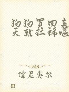 狗狗买回来第二天就拉稀呕吐怎么办