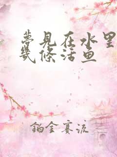 梦见在水里抓了几条活鱼