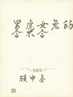 男虎女兔的婚姻合不合