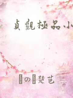 贞观极品小憨婿