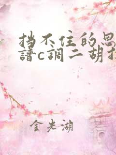 挡不住的思念简谱c调二胡指法