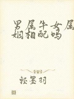 男属牛女属虎婚姻相配吗