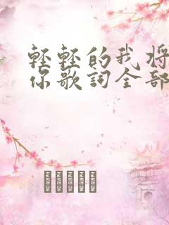 轻轻的我将离开你歌词全部