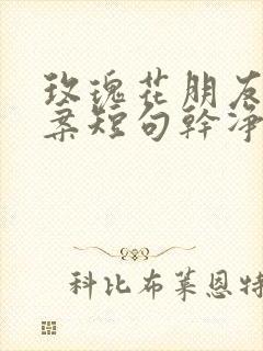 玫瑰花朋友圈文案短句干净