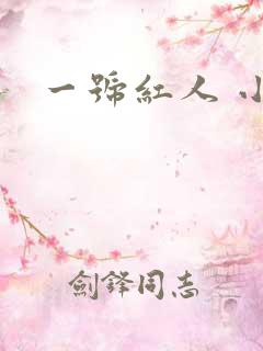 一号红人 小说