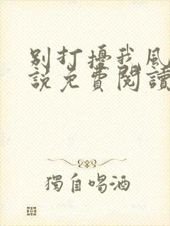 别打扰我风水小说免费阅读全文最新