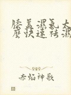 膝盖湿气太重怎么快速祛湿