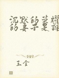 沉默的荣耀聂曦的妻子是谁