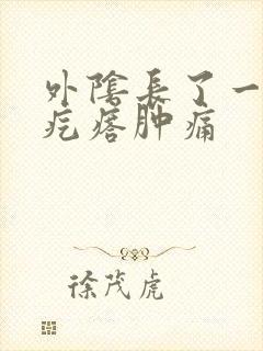 外阴长了一个硬疙瘩肿痛