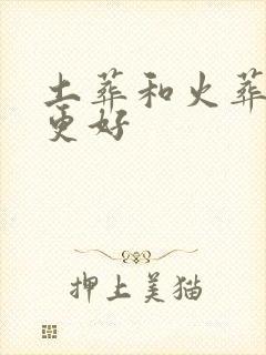 土葬和火葬哪个更好