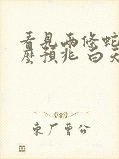 看见两条蛇有什么预兆 白天