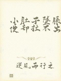 小肚子坠胀想大便却拉不出来怎么办女