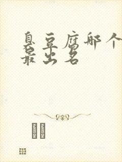 臭豆腐哪个地方最出名