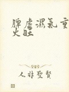 脾虚湿气重 肝火旺