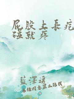 屁股上长疙瘩一碰就疼