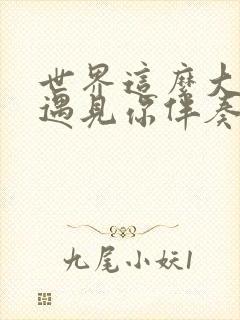 世界这么大还是遇见你伴奏