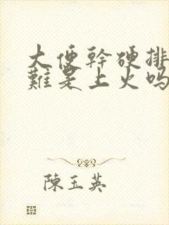 大便干硬排便困难是上火吗