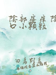 阴部瘙痒 阴道口小颗粒