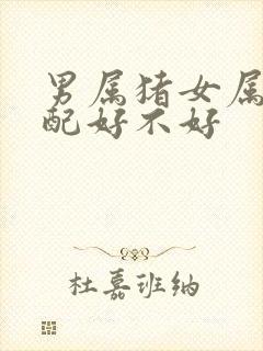 男属猪女属鼠婚配好不好