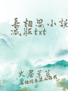 长相思小说无删减版txt