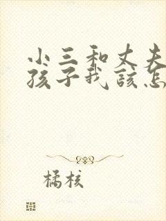 小三和丈夫生了孩子我该怎么办