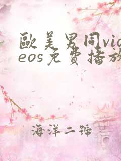 欧美男同videos免费播放