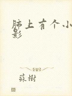 肺上有个小结节影