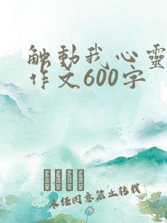 触动我心灵的—作文600字