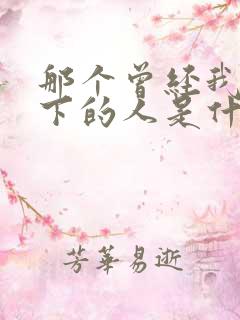 那个曾经我放不下的人是什么歌