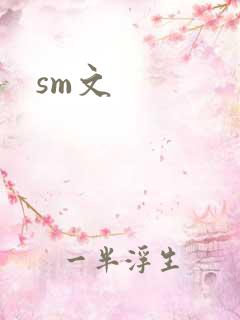 sm文