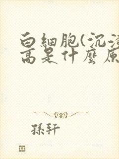 白细胞(沉渣)高是什么原因