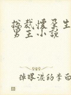 总裁怀孕生子双男主小说