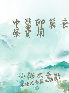 中医卵巢衰退治疗费用