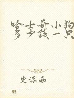 哈士奇小狗价格多少钱一只