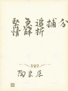 紧急追捕分集剧情解析