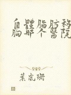 自体脂肪移植丰胸哪个医院好