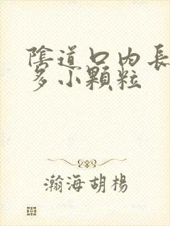 阴道口内长了很多小颗粒