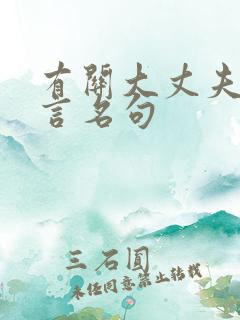 有关大丈夫的名言名句