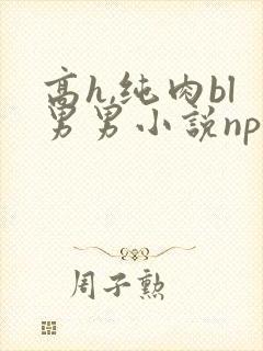 高h,纯肉bl男男小说np