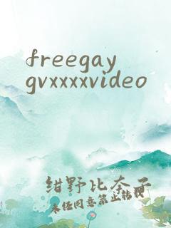 freegaygvxxxxvideo