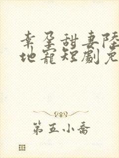 幸孕甜妻陆总跪地宠短剧免费观看全