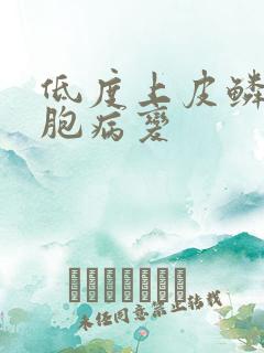 低度上皮鳞状细胞病变