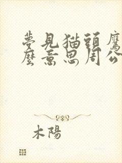 梦见猫头鹰是什么意思周公解梦