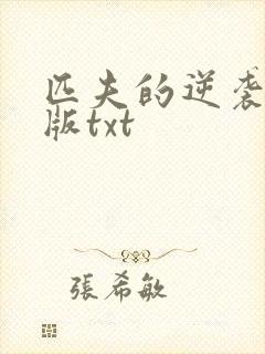 匹夫的逆袭精校版txt